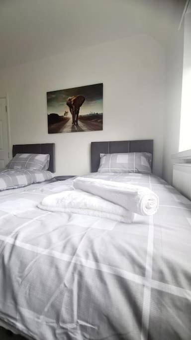 Apartment Freshen-up